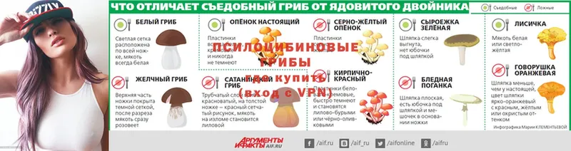 Псилоцибиновые грибы прущие грибы  Белоярский 